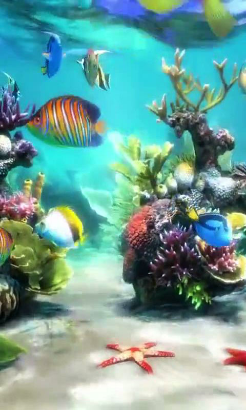 Aquarium Free Download For Android